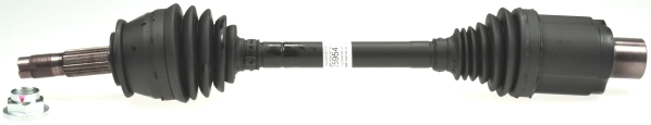 25954