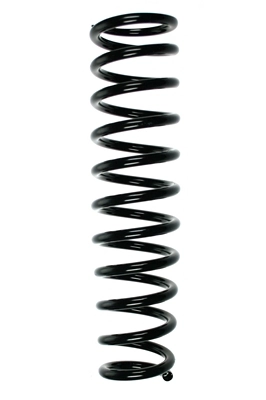 55466