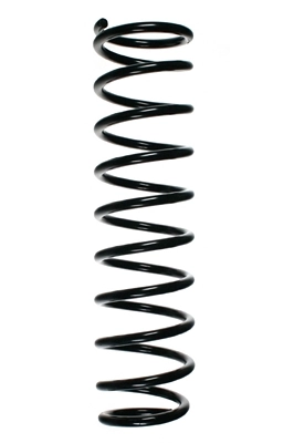 55798