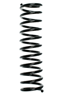 55604
