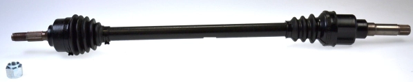 24251
