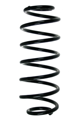 56453