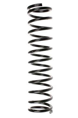 55005
