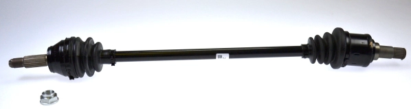 23354