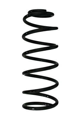85081