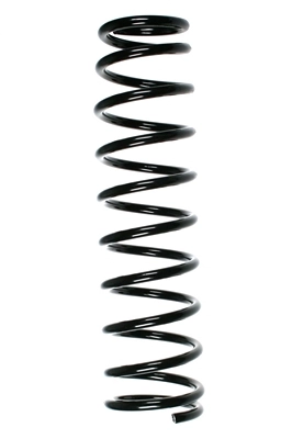 55815