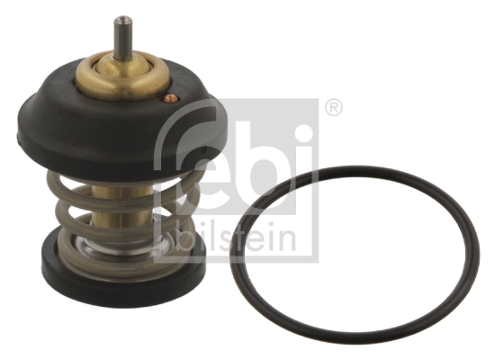 34876