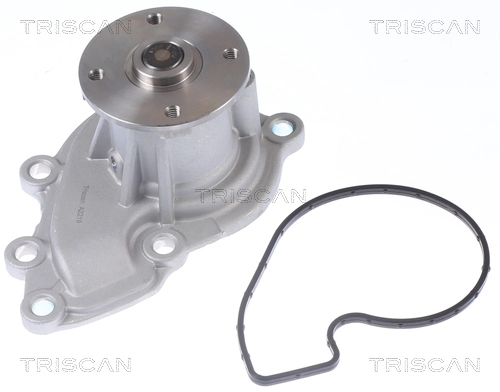 8600 43025