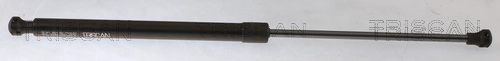 8710 25281