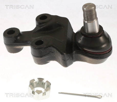 8500 18543