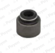 PA6116