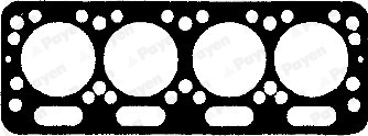 AN010