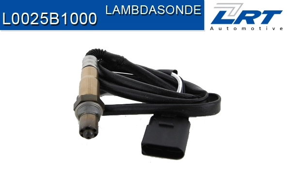 L0025B1000