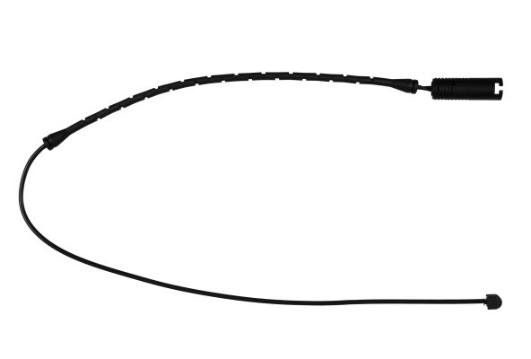 P8081