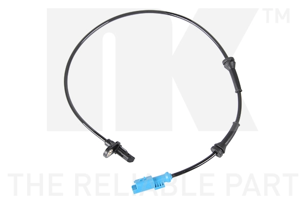 291949