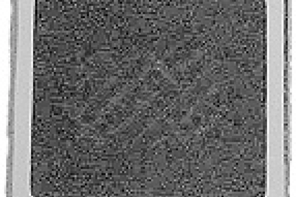 66109