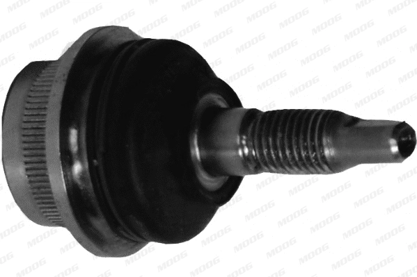 MN-ES-2126