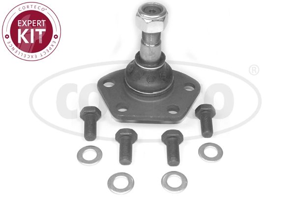 49399274