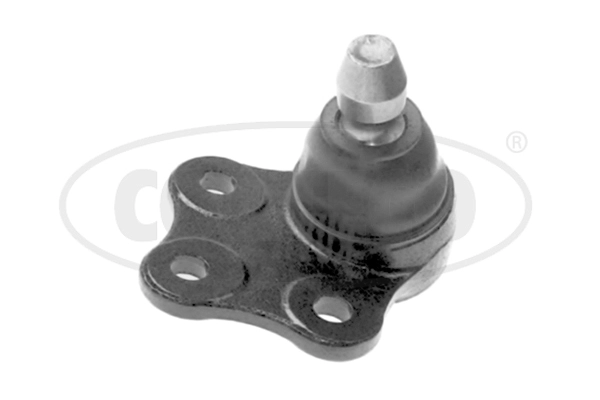 49395792