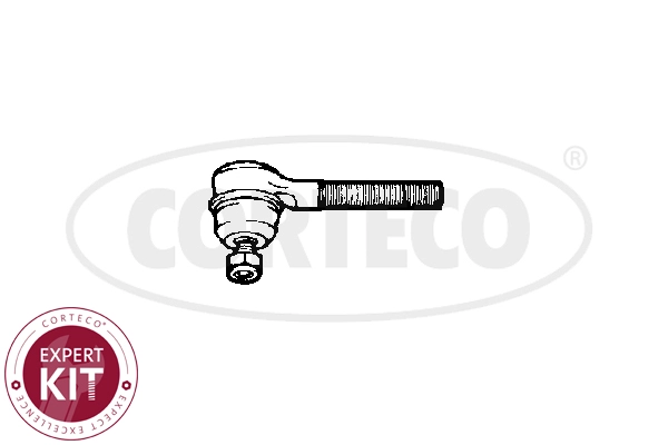 49401253