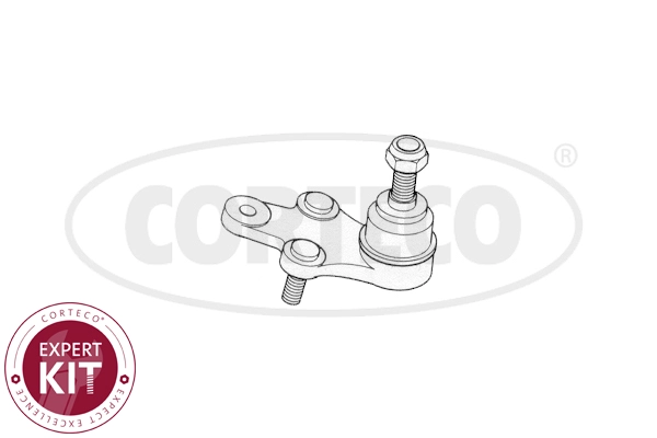 49395999