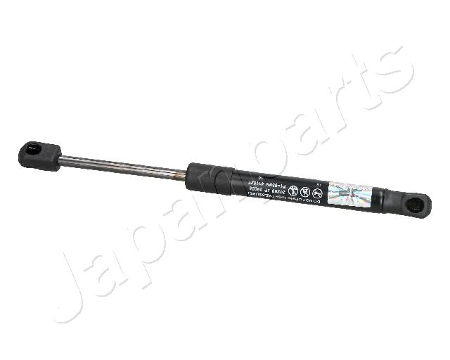 ZS09095