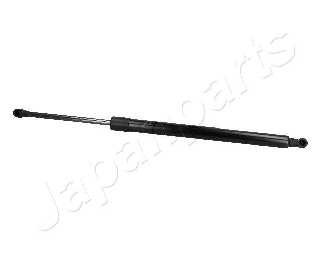 ZS30012
