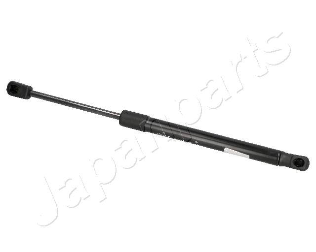 ZS09010