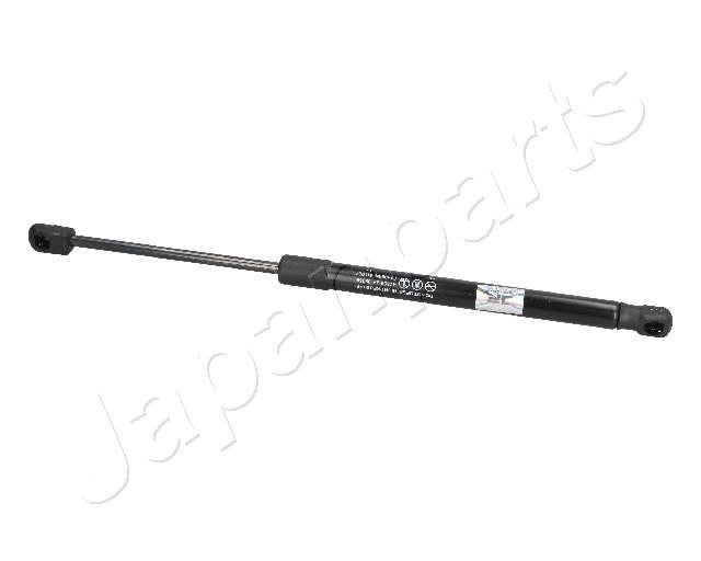 ZS09068