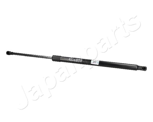 ZS09136