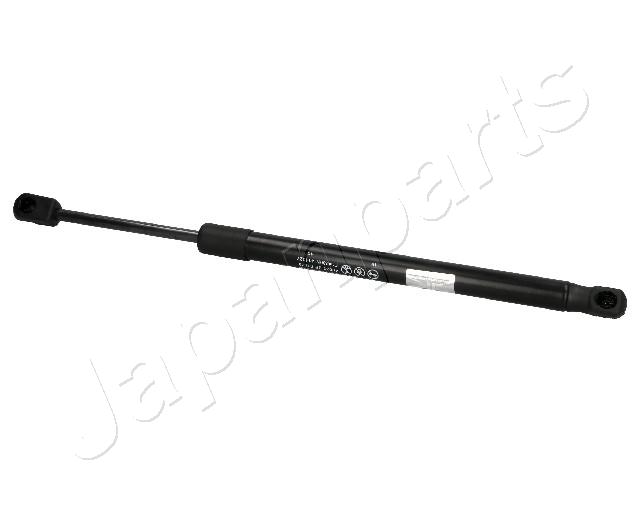 ZS07079