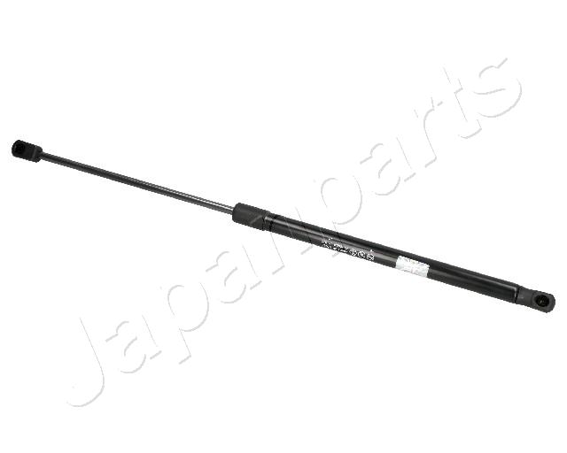 ZS07038