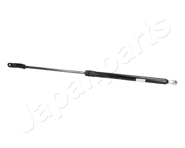 ZS09179