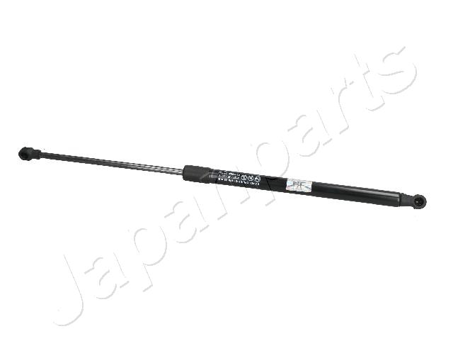 ZS09089