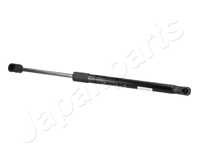 ZS09205