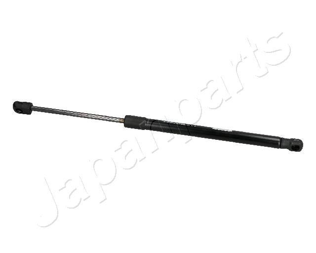 ZS09220