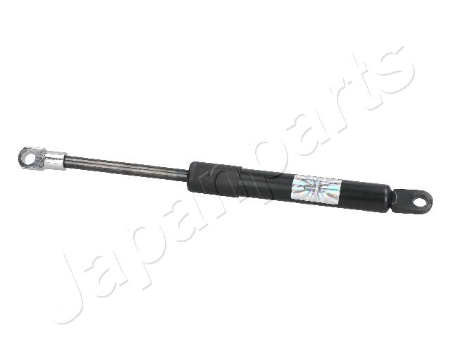 ZS09099