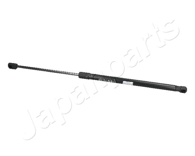ZS09063