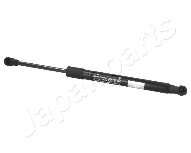 ZS01019