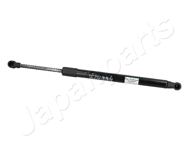 ZS10021