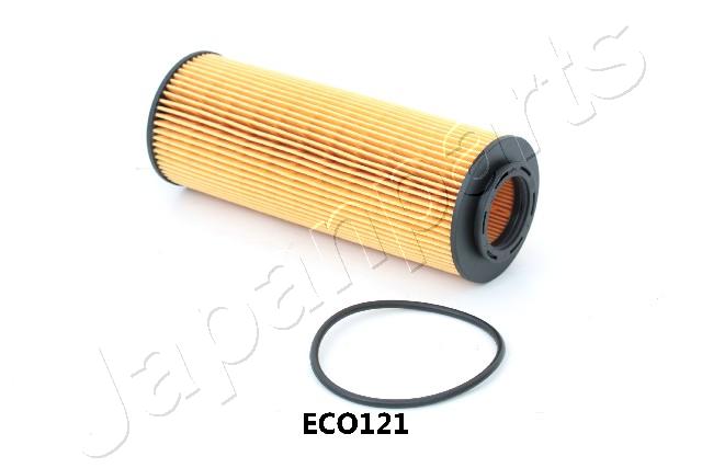 FO-ECO121