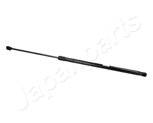 ZS09221