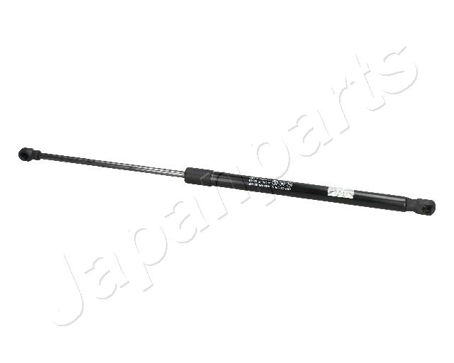 ZS09115