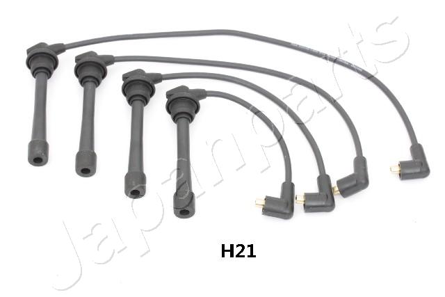 IC-H21