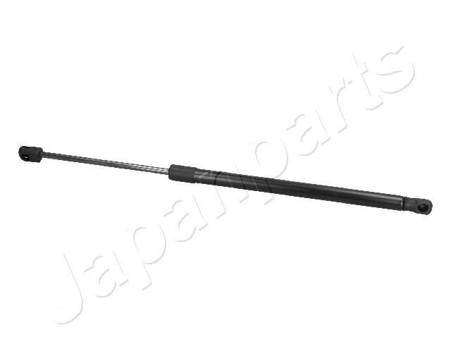 ZS09060