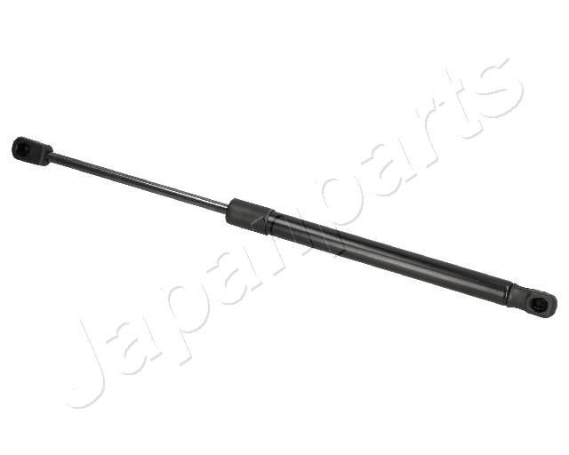 ZS07036