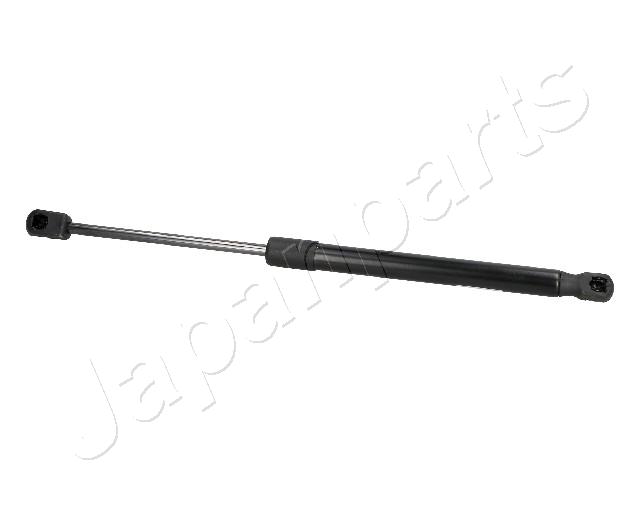 ZS09196