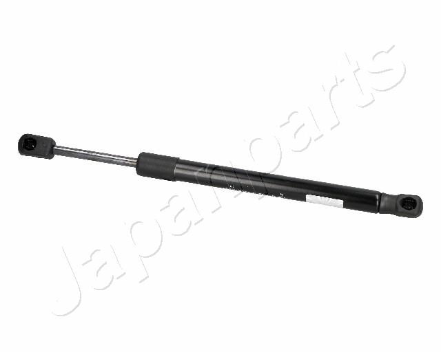 ZS06016