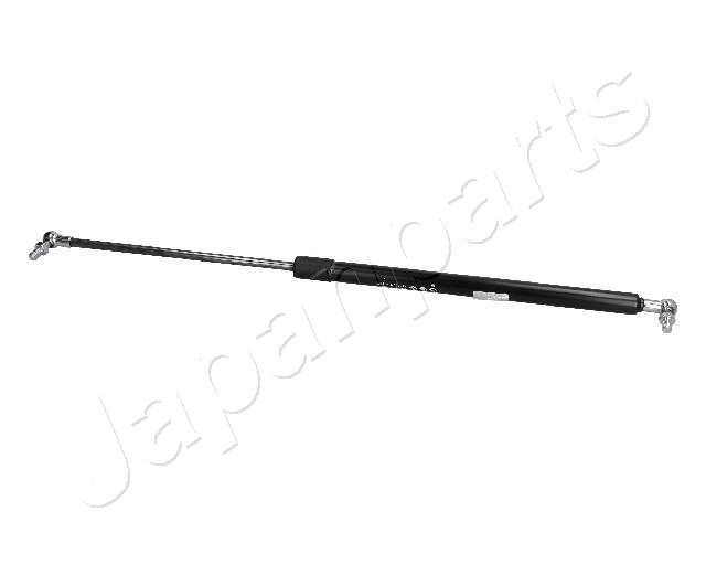 ZS10026
