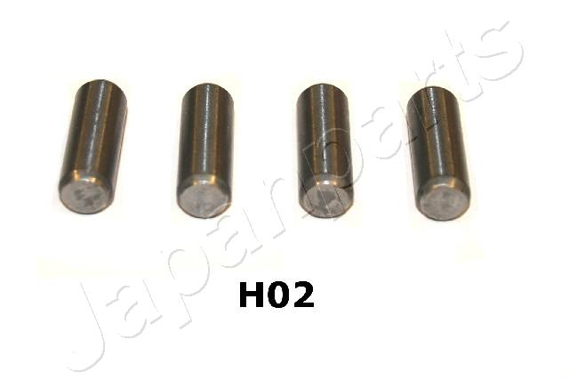BV-H02